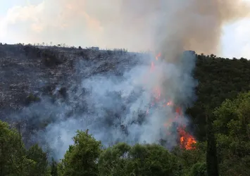 Son dakika: Gebze’de orman yangını