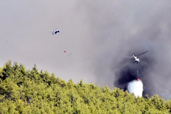 Yanan orman alanları yeşil olacak: Tam 252 milyon fidan dikilecek