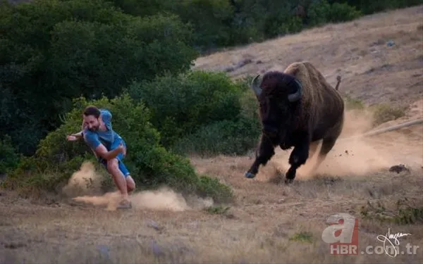 Köylüler ellerinde sopayla geziyor! Katil kuş özellikle sarışın kadınlara saldırıyor 18