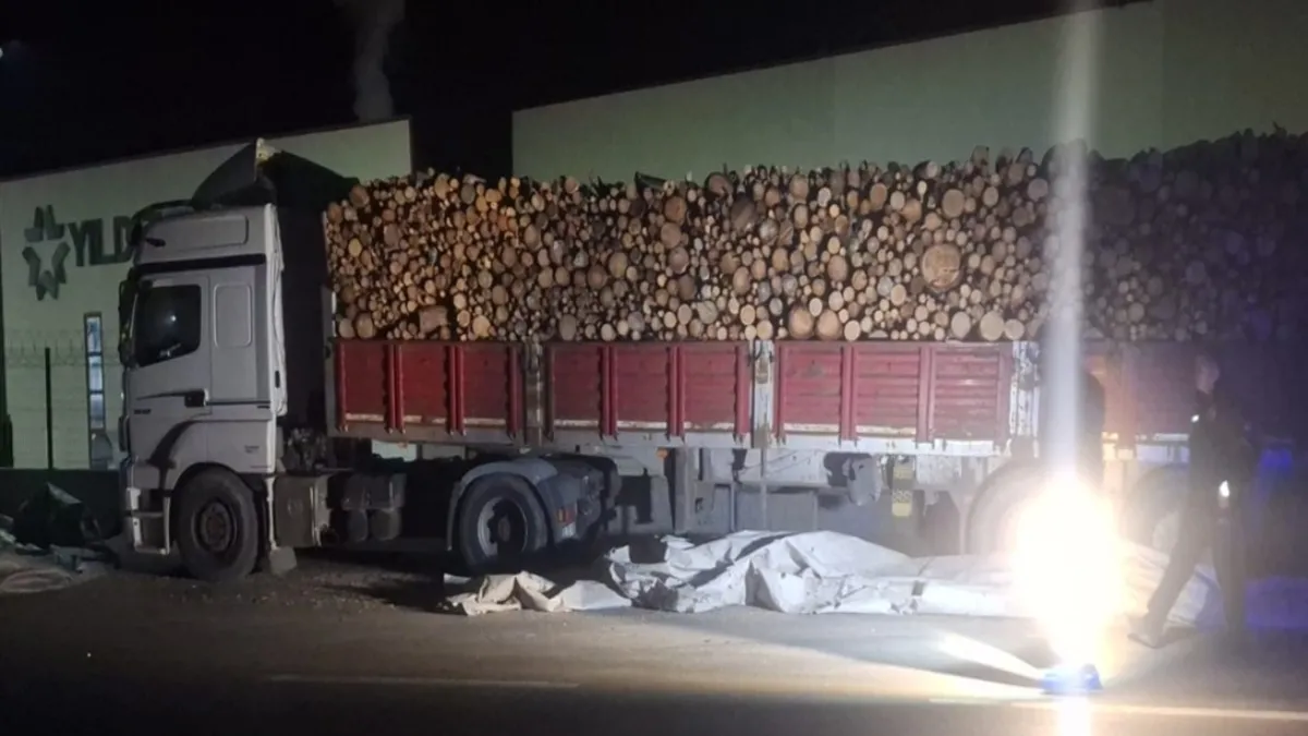 Bolu'da brandayı toplayan sürücüye otomobil çarptı: Hayatını kaybetti