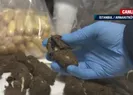 Tropikal meyvelerden çıkan şaşırttı