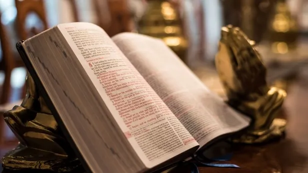 papa-ve-kardinal-ne-demek-kimlere-denir-tdk-sozluk-anlami-1745235172932.jpg A Haber Foto Arşiv