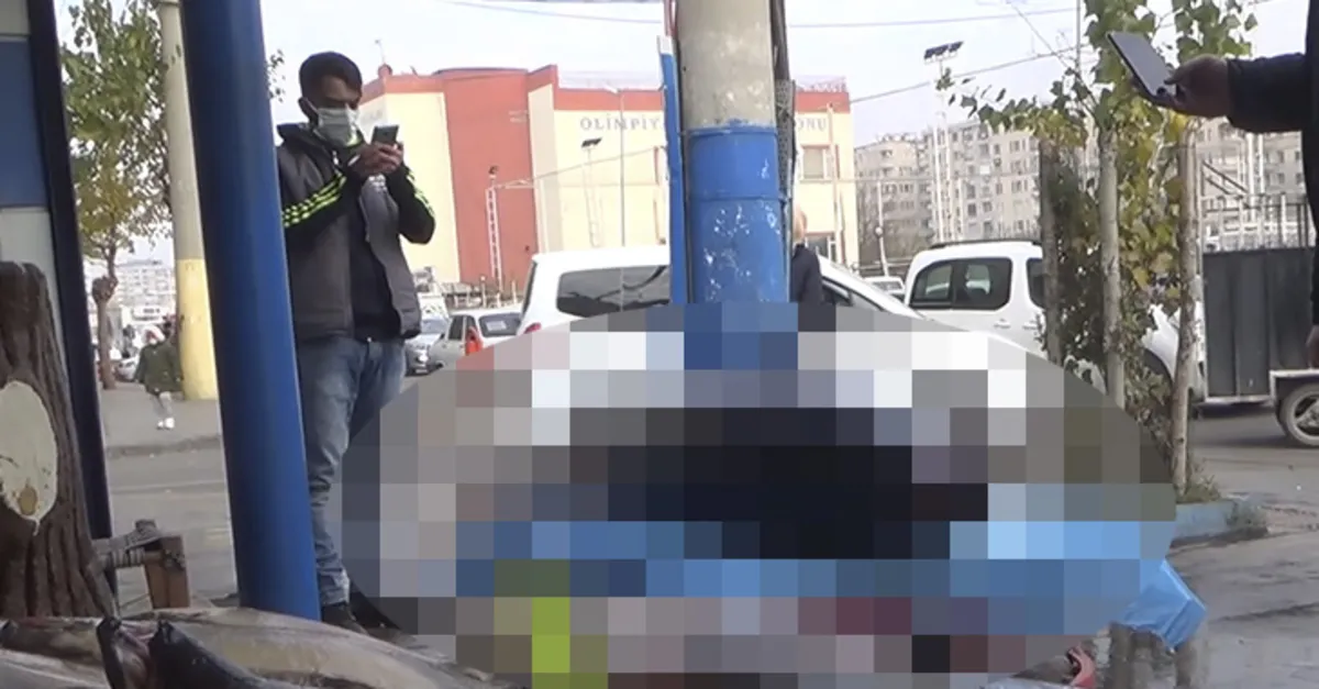 Diyarbakır'da gören telefonuna sarıldı! Onlarca kiloluk dev...