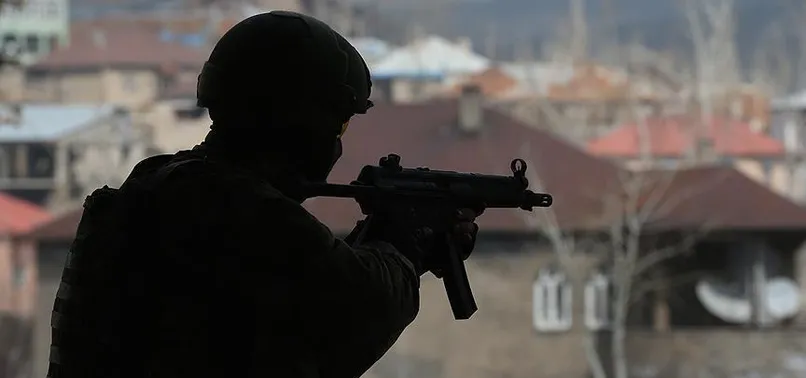 Şırnak'ta 2 terörist etkisiz hale getirildi