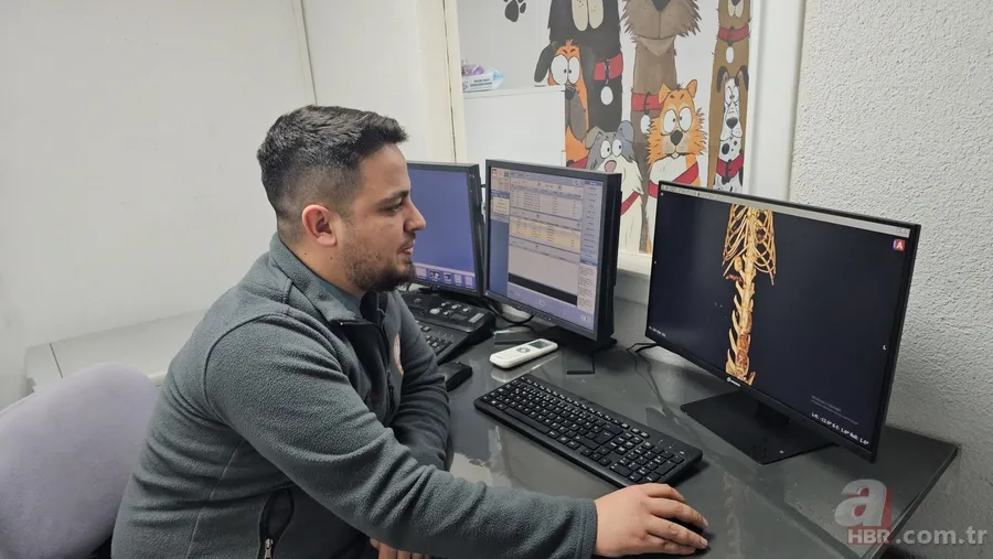 Kedinin midesindeki vantuz 4 yıl sonra fark edildi 4