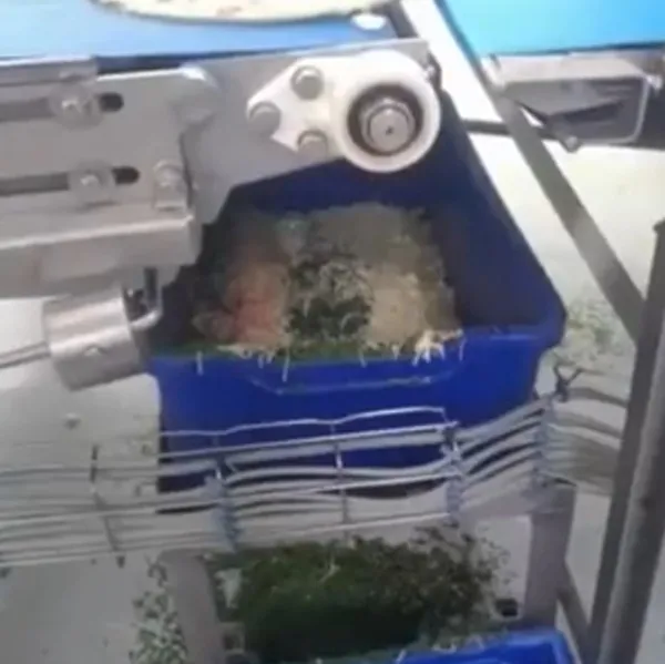 kinderin-ardindan-nestlede-buyuk-skandal-uretilen-pizzadaki-bakteri-nedeniyle-iki-cocuk-oldu-uretim-tesislerin-1649432490339.jpg Kinder'in ardından Nestle'de büyük skandal! Üretilen pizzadaki bakteri nedeniyle iki çocuk öldü! Üretim tesislerinde gezen kurtçuklar... - 8