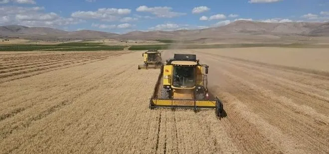 Tomarza’da hububat hasat zamanı başladı