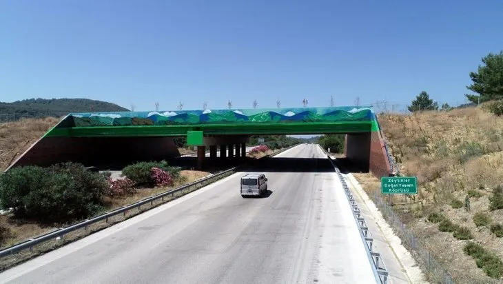 İzmir-Çeşme Otoyolu’nda yaban hayvanlarını korumak için planlanan ekolojik köprü tamamlandı