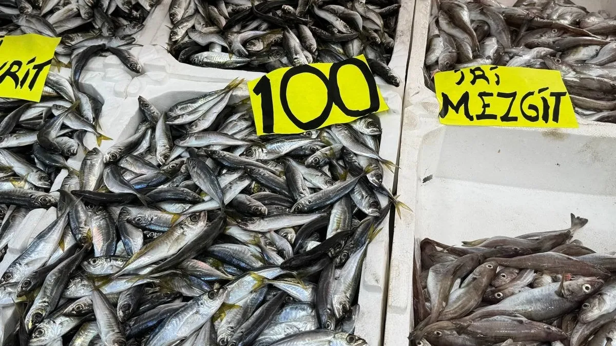 Av mevsiminin son gülerinde istavrit bolluğu