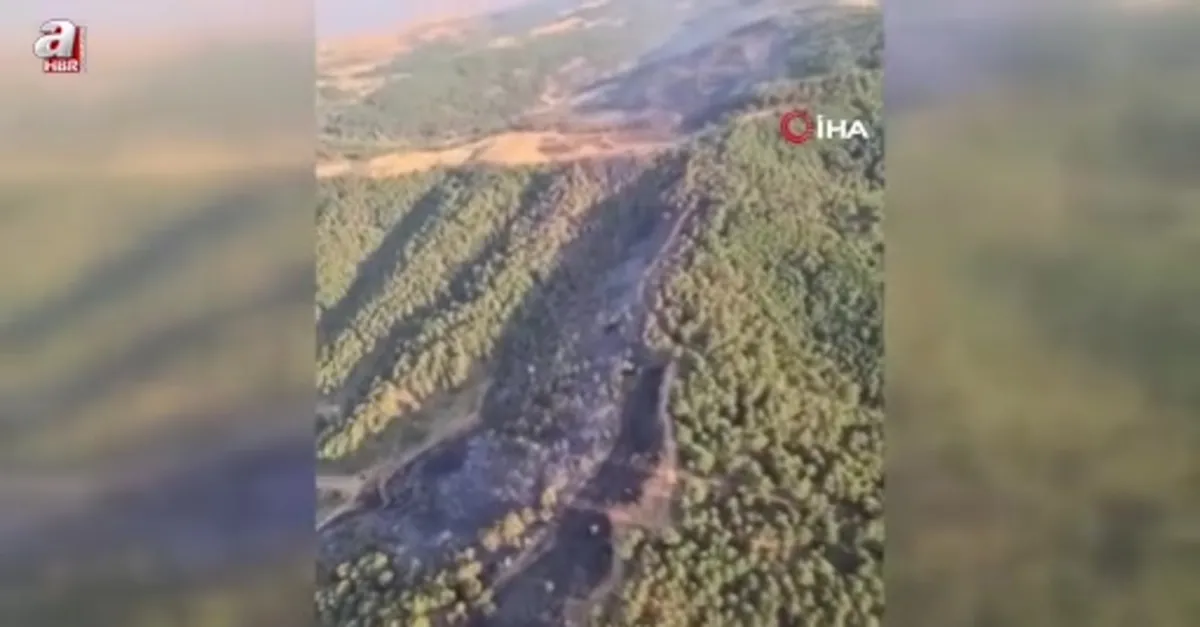 Uşak'taki orman yangını kontrol altında