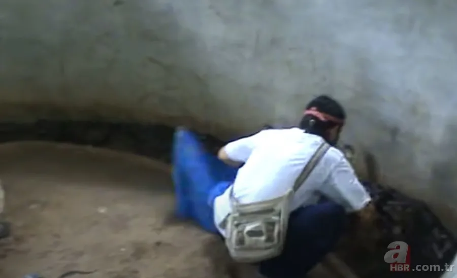 Yılan gösterisi için kobra seçen adam rahatlığıyla hayretler içinde bıraktı! 19