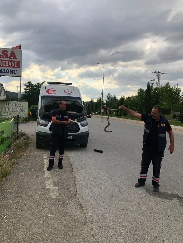 Afyonkarahisar’da ambulanstan çıkanı görenler şoke oldu - 2