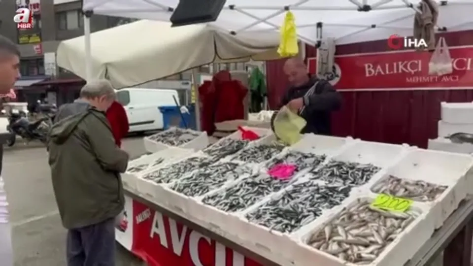 Hamsinin fiyatı 100 liraya düştü