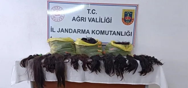 Ağrı'da poşetlerin içinden çıkanlar şaşkına çevirdi: 397 adet...