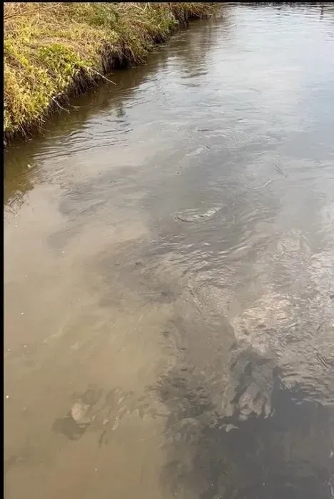 Sen nerede su arıtma nerede Soyer! CHP'li belediyeden halka "temizliyoruz" yalanı! Pislikleri denize yollamışlar - 5