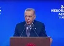 Başkan Erdoğan’dan kırmızı et müjdesi