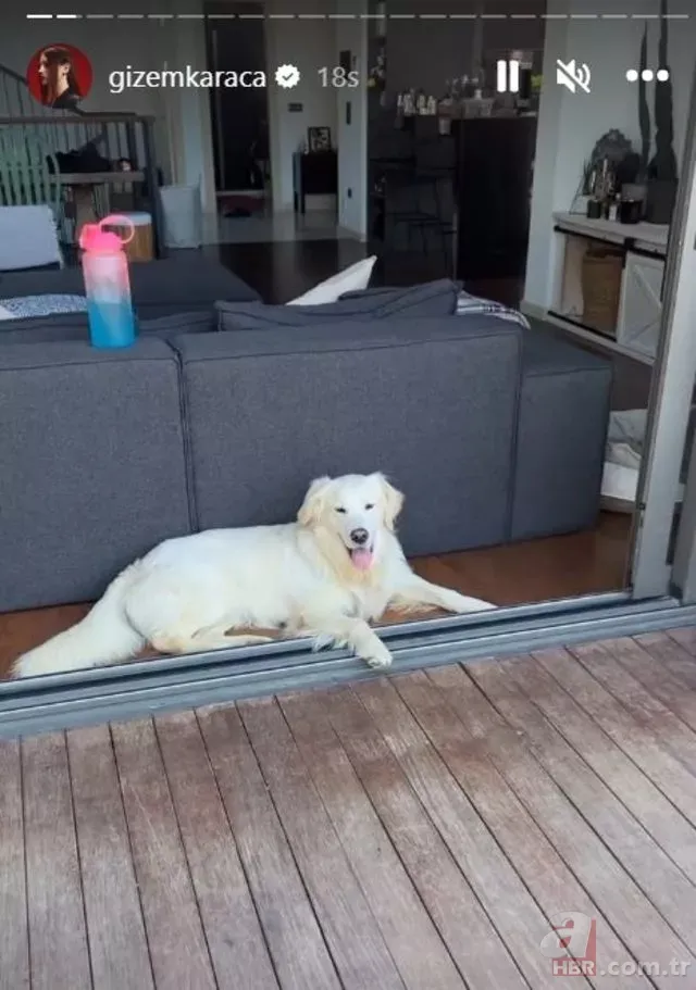 Gizem Karaca'nın lüks villasına bakın! Köye yerleşmişti! Doğa ile iç içe evi rehabilitasyon merkezi gibi... 15