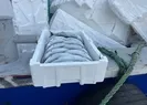 Boş köpük kasa balıktan pahalı çıktı!