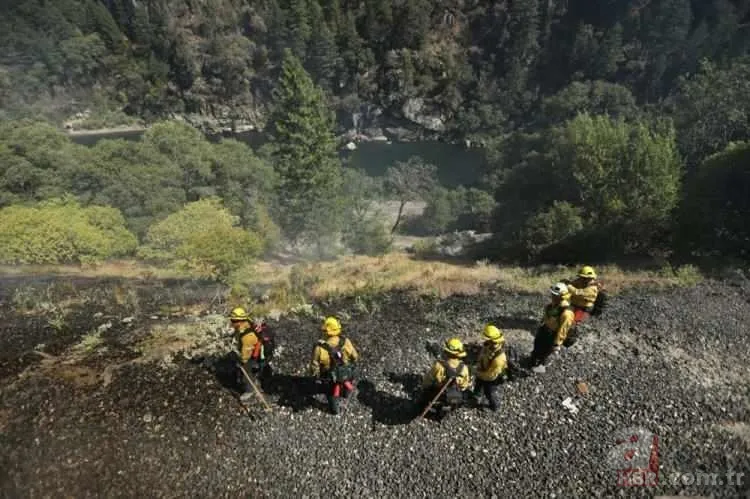 ABD'de dev orman yangını! 85 kilometrekarelik alan alevlere teslim 13