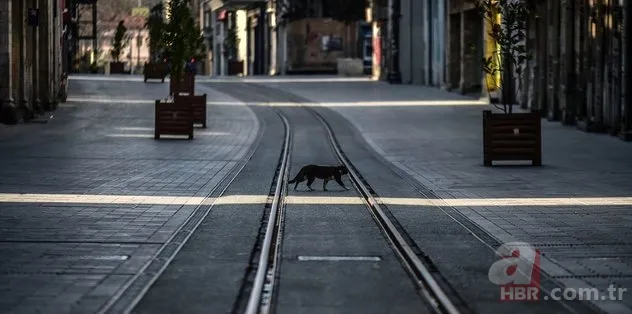 Son dakika açıklaması geldi! Hangi illere yasak geldi? 65 yaş üstü ve 18 yaş altı sokağa çıkma yasağı olan iller hangileri? 10