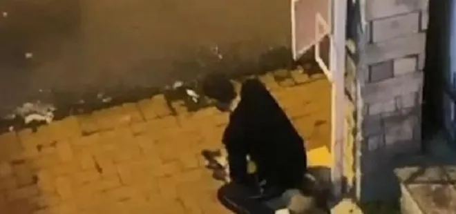 İstanbul’da dehşete düşüren olay! Sokak köpeğini boğmaya çalıştığı anlar kamerada
