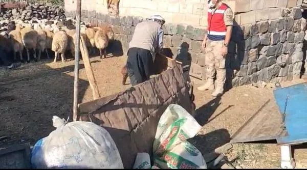 Son dakika: Şanlıurfa'daki hayvan hırsızları yakalandı - 3