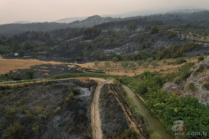 Sakarya’da ciğerlerimiz yanıyor! Hasarın boyutu gün ağarınca ortaya çıktı 11