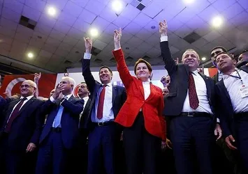 YSK'dan MHP kararı