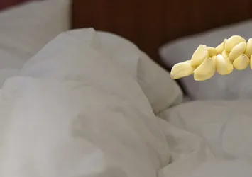 Uyumadan önce yastığınızın altına sarımsak koyun! Deneyen bırakamıyor...