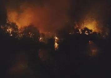 Antalya'da ırmak kenarında yangın paniği! Böğürtlen ve çalılık alan tutuştu