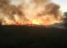 Bakanlıktan yangın açıklaması