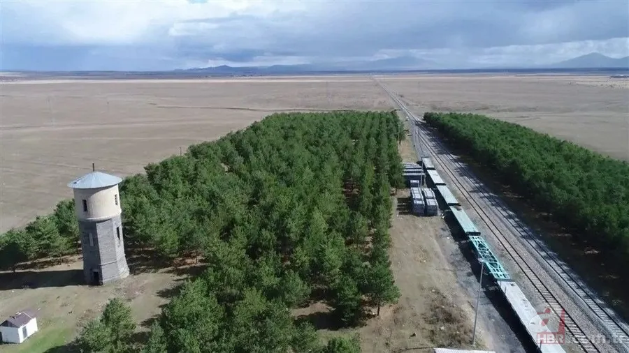 Bozkırın ortasında yemyeşil doğa! Hayran bırakan görüntüler 3