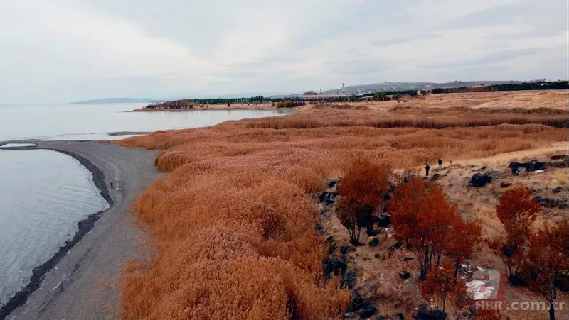 Sıradan bir taş sandılar ama işin aslı farklı çıktı! 2 bin 750 yıl önce kullanmışlar... 6