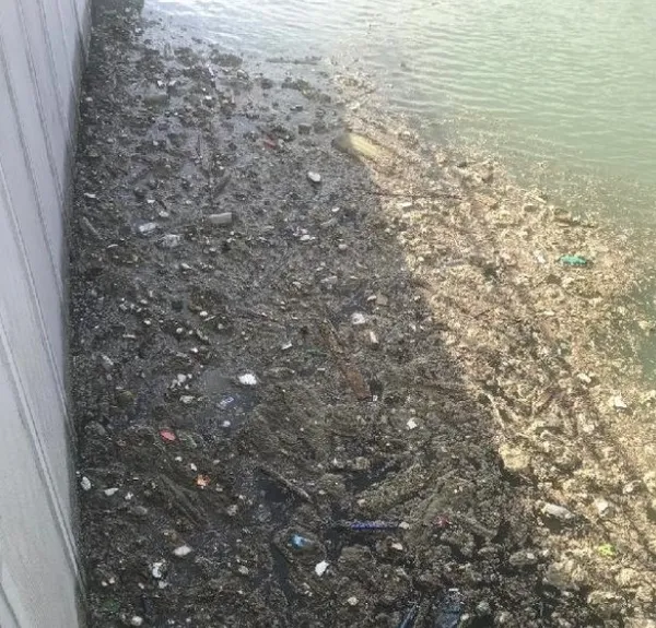 CHP'li Ekrem İmamoğlu "Kurbağalıdere'yi temizledik" diyerek reklam yapmıştı! Kurbağalıdere pislik içinde kaldı - 5