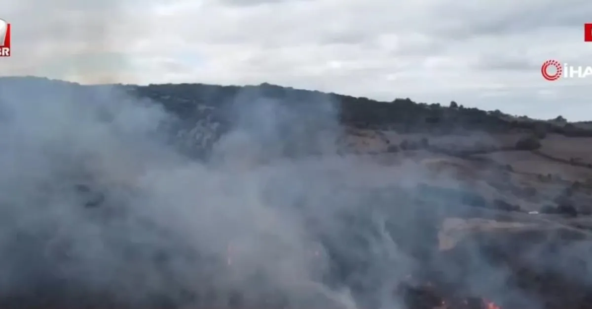 Çanakkale’de orman yangını