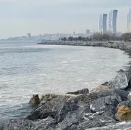 Pendik ve Kartal sahilinde tedirgin eden görüntü! Çevre sakinleri: Daha önce rastlamamıştık