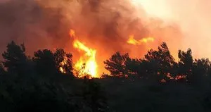 Manisa’da orman yangını ikinci gününde