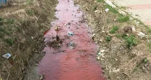 Dere kırmızıya boyandı! Rekor ceza kesildi