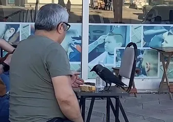 Haylaz karga kahvehanenin müdavimi oldu