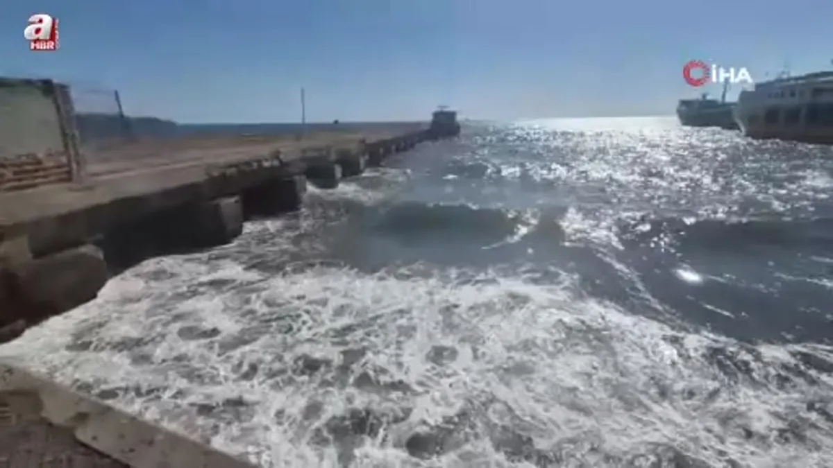 Tekirdağ’da Poyraz fırtınası kıyılarda kızıl yosunlara neden oldu