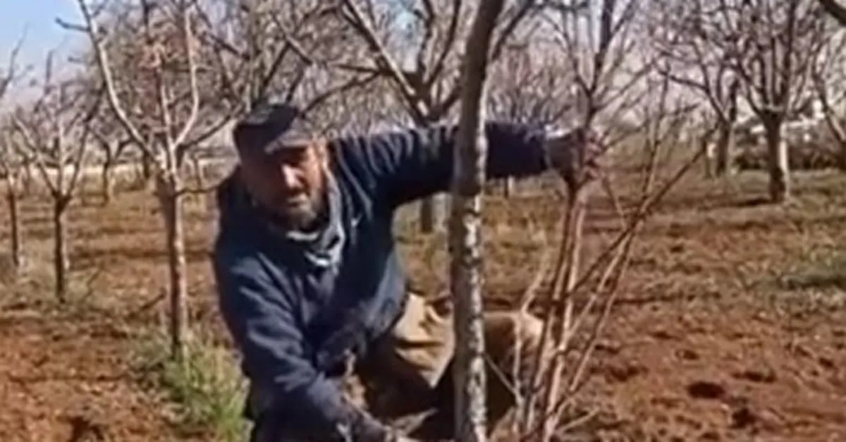 Bir çiftçiden 7’li koalisyonu anlatan en net sözler! “Bunları seçimde budayarak devleti rahatlatacağız”