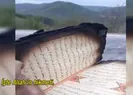 İlginç olay! Kül olan evde...
