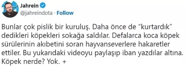 1678525406706.jpg Akılalmaz iddialar! Deprem bölgesindeki kedileri kim satıyor? - 10
