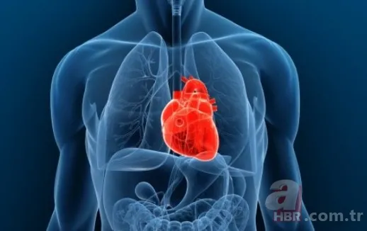 İnanılmaz! Doktorları bile hayrete düşürdü: 66 yıldır iç organları tersine çalışıyor 8