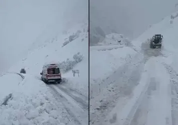 Hakkari'de 7 aylık bebek için çığlar aşıldı