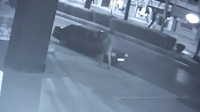 Dinlene dinlene böyle parçaladı
