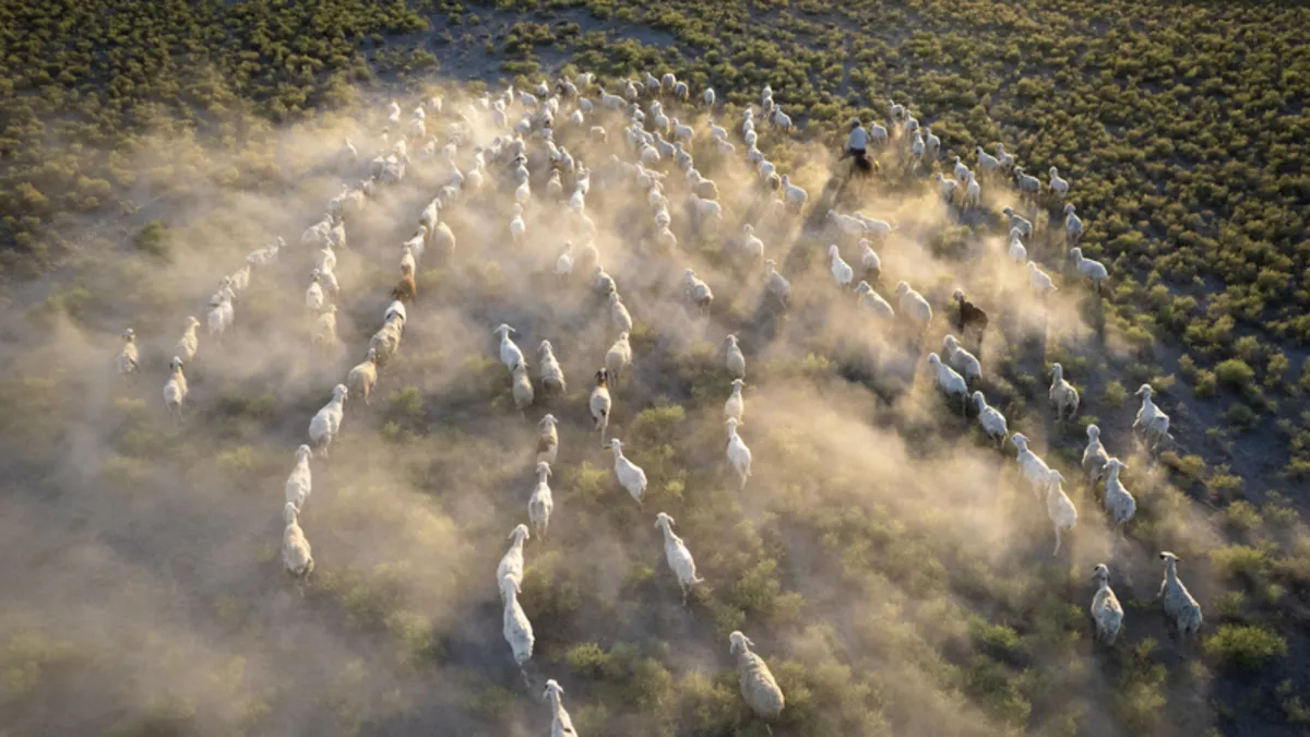 FAO uyardı: İklim değişikliği 2100’e kadar o sektörde milyonların geçimini etkileyebilir