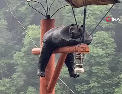Rize’de görenleri hayrete düşüren manzara! İlgi odağı oldu