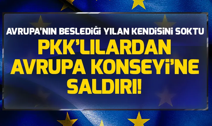 Terör örgütü PKK yandaşlarından Avrupa Konseyine saldırı: 43 gözaltı