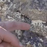 Paylaşılamıyor! NTE neden değerli?